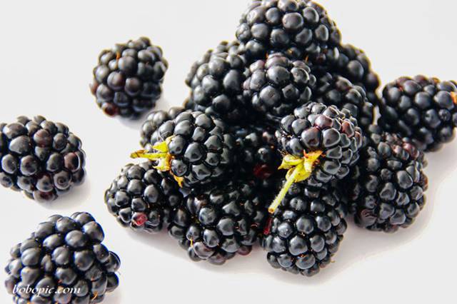 黑莓水果图片2